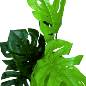 Plantas Artificiales Monstera Decoración
